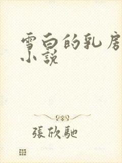 雪白的乳房乡村小说