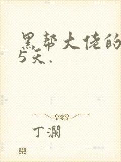 黑帮大佬的365天.