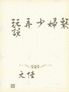 玩弄少妇系列小说