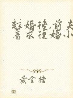 离婚后,前夫哭着求复婚小说免费阅读