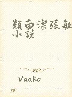 类白洁张敏孙倩小说