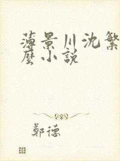 薄景川沈繁星什么小说