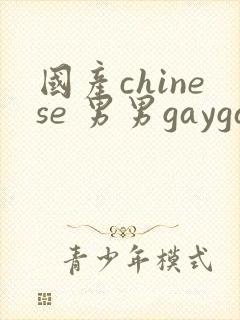 国产chinese 男男gaygay网站