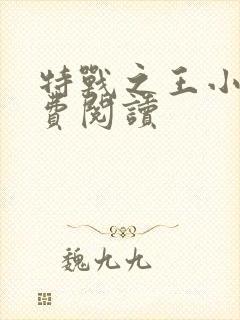 特战之王小说免费阅读