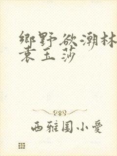 乡野欲潮林天成袁玉莎封面