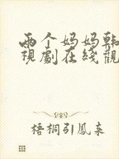 两个妈妈韩剧电视剧在线观看全集