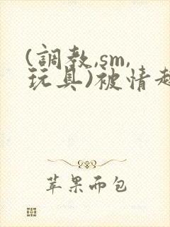 (调教,sm,玩具)被情趣用品店