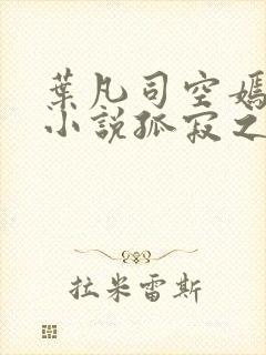 叶凡司空嫣然的小说孤寂之狼封面