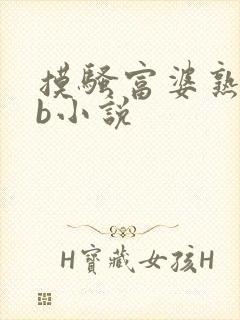 摸骚富婆熟妇大b小说