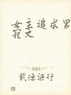 女主追求男主的宠文