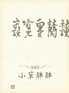 宋喻白林秋恩小说免费阅读最新章节