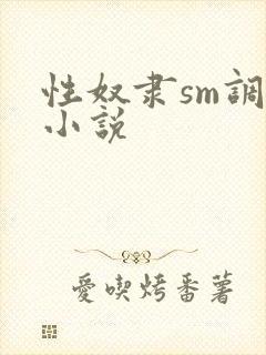 性奴隶sm调教小说
