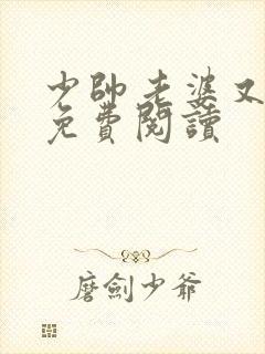 少帅老婆又跑了免费阅读