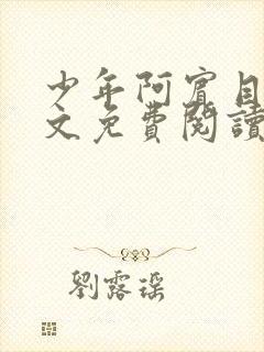 少年阿宾目录全文免费阅读