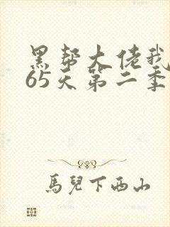 黑帮大佬我的365天第二季电视剧