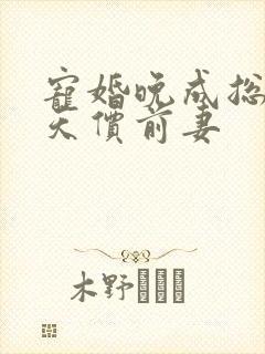 宠婚晚成总裁的天价前妻