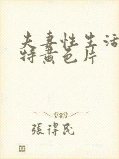 夫妻性生活一级特黄色片