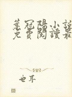 叶冠阳小说全文免费阅读最新章节