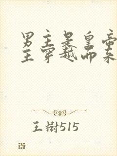 男主是皇帝,女主穿越而来的小说