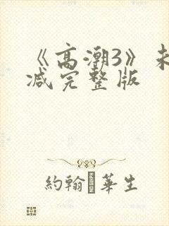 《高潮3》未删减完整版
