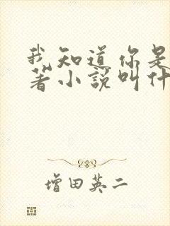 我知道你是谁原著小说叫什么名字