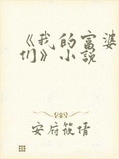 《我的富婆老板们》小说