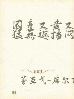 国产又黄又爽又猛无遮挡网站视频