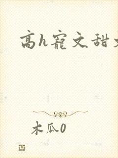 高h宠文甜文封面