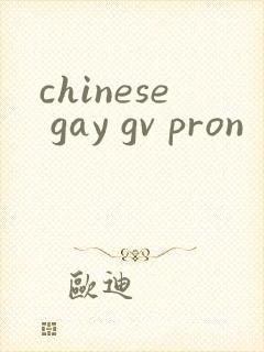 chinese gay gv pron封面
