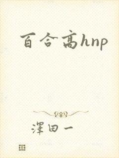 百合高hnp封面