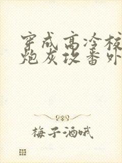 穿成高冷校草的炮灰攻番外封面