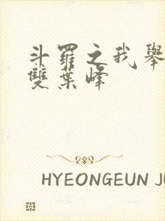 斗罗之我举世无双叶峰封面