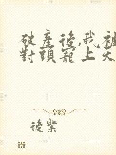 破产后,我被死对头宠上天更新