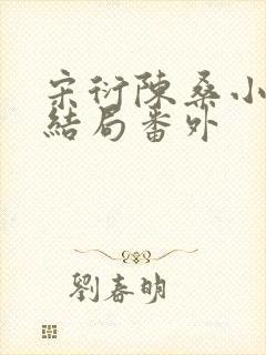 宋衍陈桑小说大结局番外