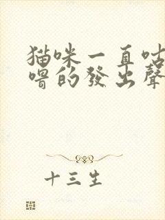 猫咪一直咕噜咕噜的发出声音是怎么了