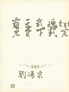 霸天武魂txt免费下载完本