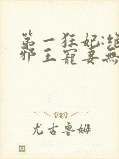 第一狂妃:绝色邪王宠妻无度