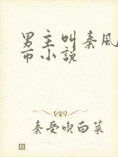 男主叫秦风的都市小说