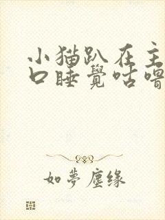 小猫趴在主人胸口睡觉咕噜咕噜叫