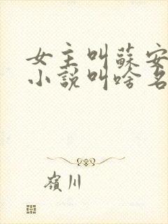 女主叫苏安然的小说叫啥名封面