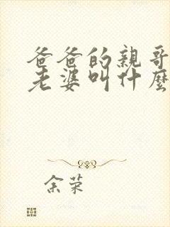 爸爸的亲哥哥的老婆叫什么称呼