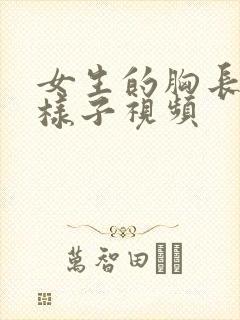 女生的胸长什么样子视频