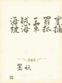 海贼王罗宾娜美被海军抓捕的小说