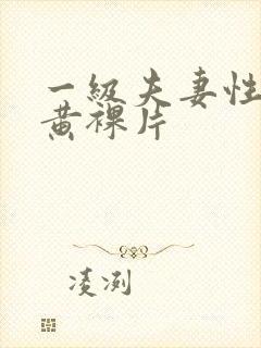 一级夫妻性生活黄裸片