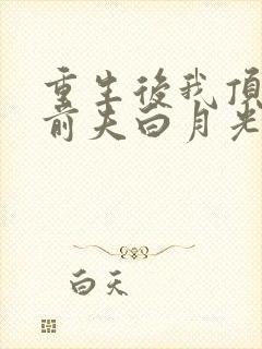 重生后我顶替了前夫白月光 第627章封面