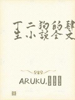 丁二狗的肆意人生小说全文免费