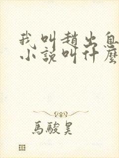 我叫赵出息原著小说叫什么