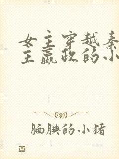 女主穿越秦朝男主嬴政的小说