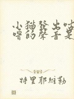 小猫发出咕噜咕噜的声音是怎么回事封面