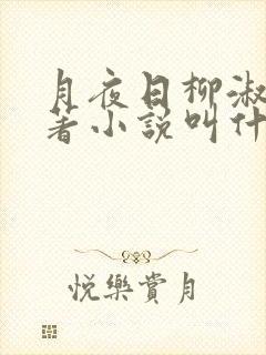 月夜日柳淑兰原著小说叫什么名字